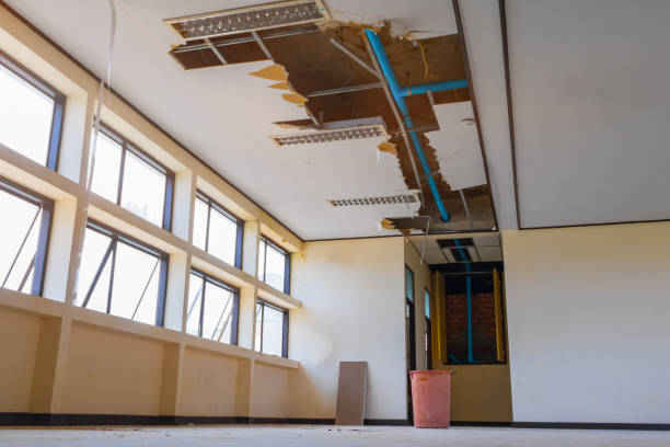 Water damage restoration insurance claims in Woodbine, NJ