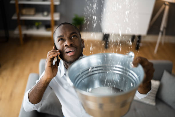 Best Emergency water damage restoration  in Woodbine, NJ