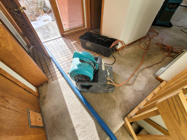 Best Flood damage cleanup  in Woodbine, NJ