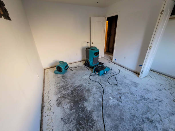 Best Water damage restoration insurance claims  in Woodbine, NJ