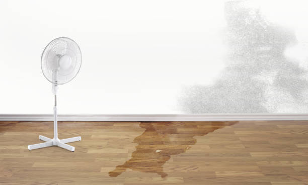  Woodbine, NJ Water damage restoration Pros