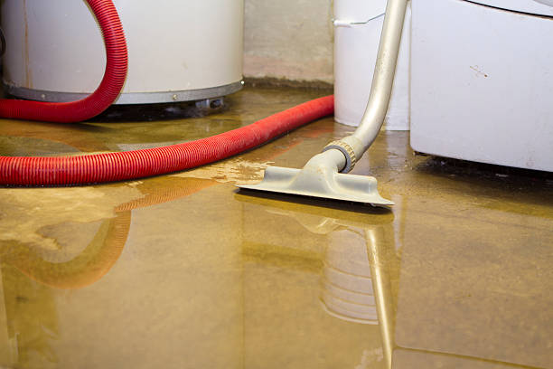 Best Basement water damage restoration  in Woodbine, NJ
