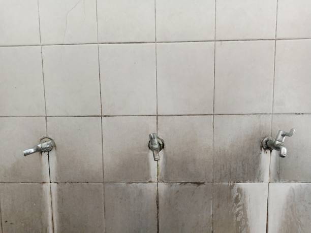 Best Carpet water damage restoration  in Woodbine, NJ