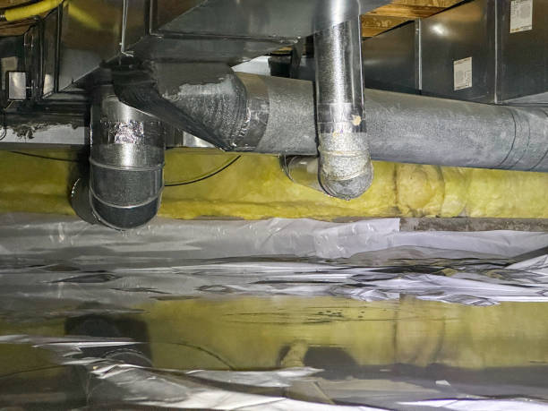 Best Water damage restoration mold remediation  in Woodbine, NJ