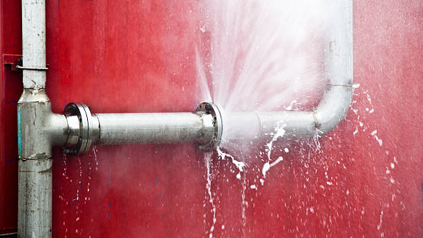 Best Flooded house restoration  in Woodbine, NJ