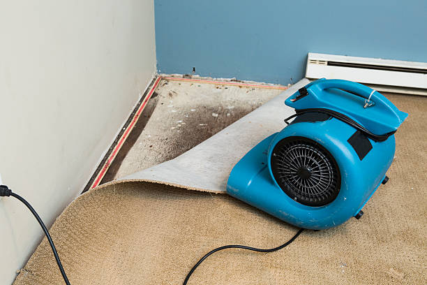 Best Basement water damage restoration  in Woodbine, NJ