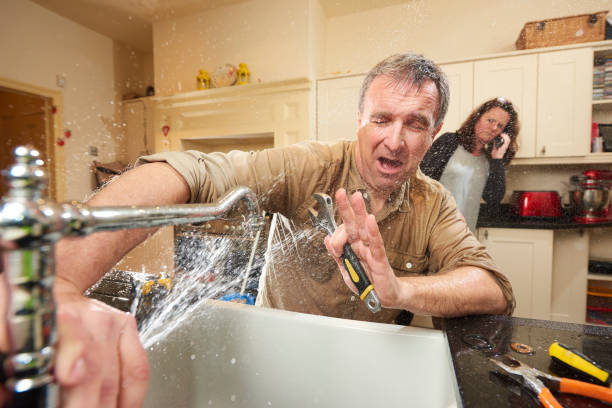 Best Local water damage restoration  in Woodbine, NJ